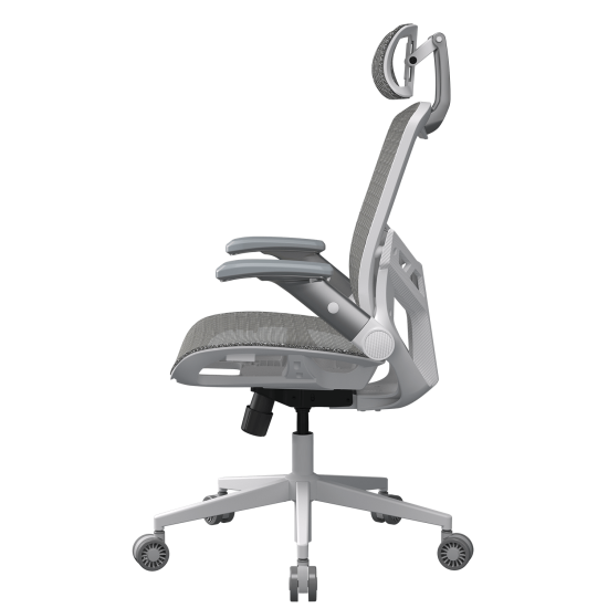 Cougar Speeder One White