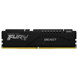 Kingston FURY DDR5 Beast 16GB